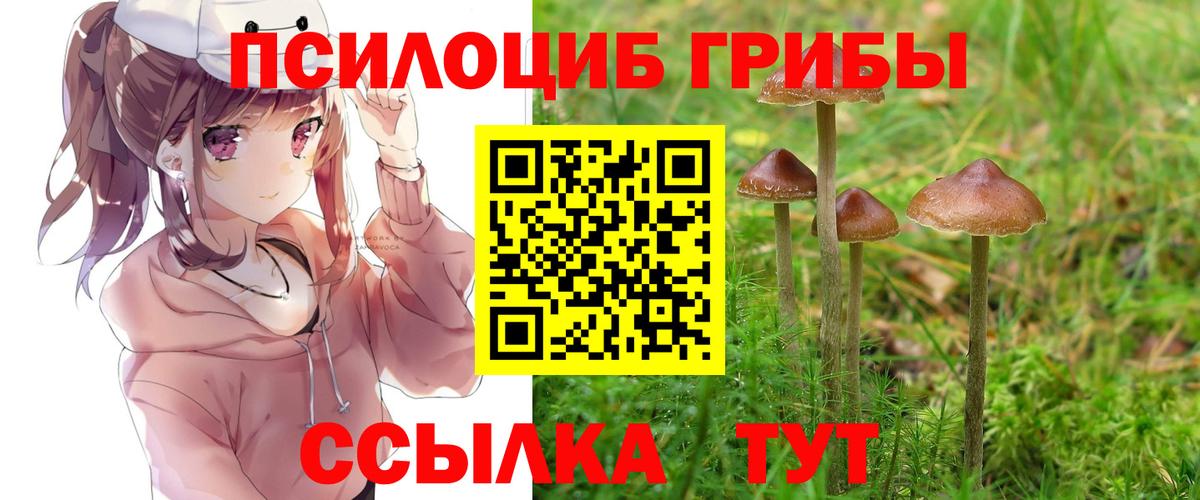 Псилоцибиновые грибы Cubensis Соль-Илецк