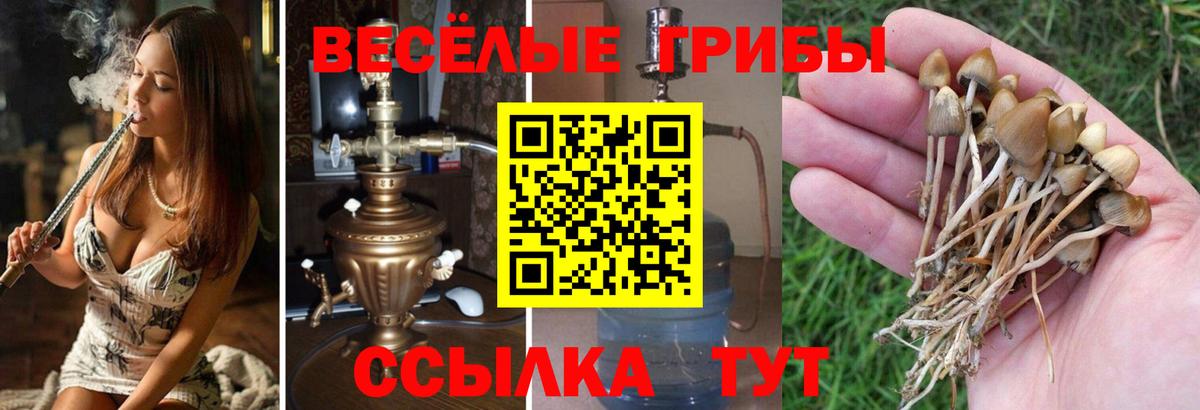 Галлюциногенные грибы MAGIC MUSHROOMS  Вход с VPN  Псилоцибиновые грибы мухоморы  купить наркотик  Соль-Илецк 